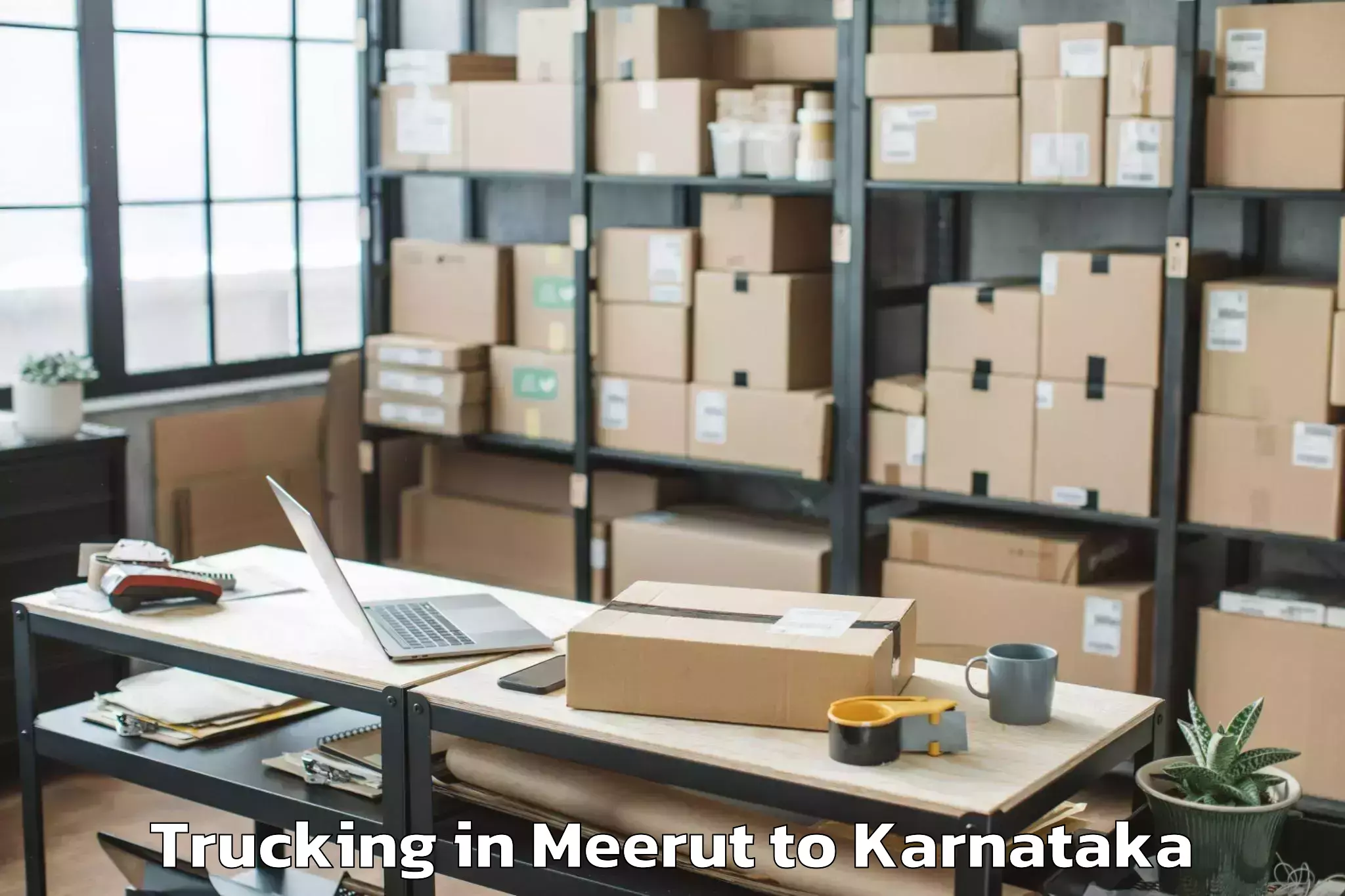 Book Meerut to Kowthal Trucking